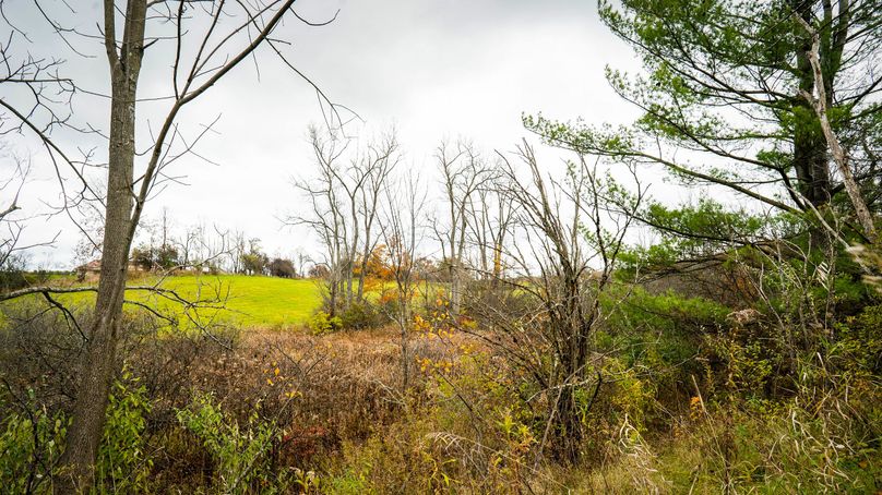 Schuyler_89.13_Mehta_Photos_72