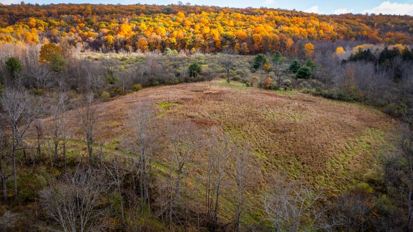 Schuyler_89.13_Mehta_Photos_135