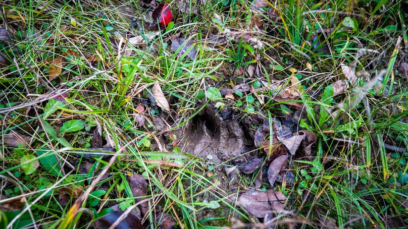 Schuyler_89.13_Mehta_Photos_73