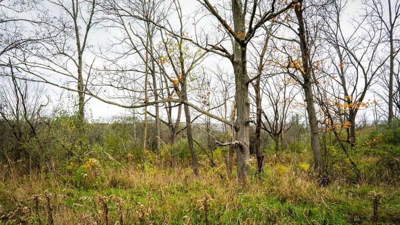 Schuyler_89.13_Mehta_Photos_67