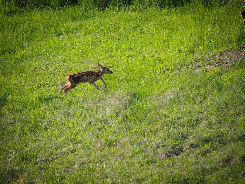 Schuyler_89.13_Mehta_Photos_46