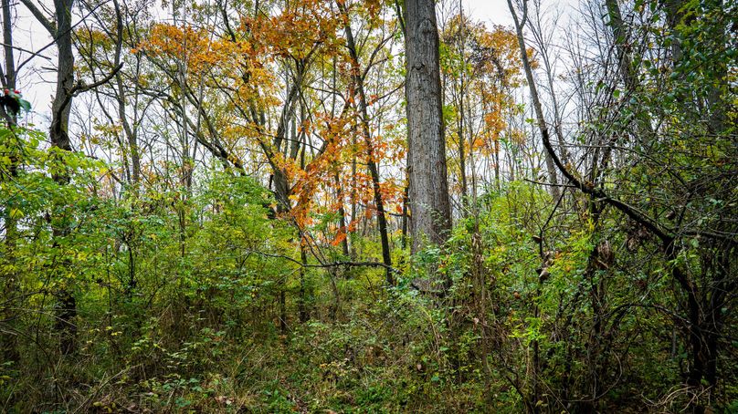 Schuyler_89.13_Mehta_Photos_63