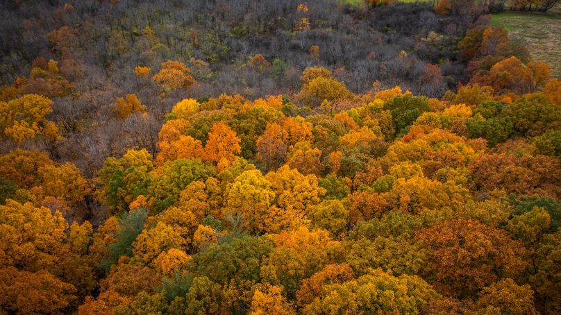 Schuyler_89.13_Mehta_Photos_121