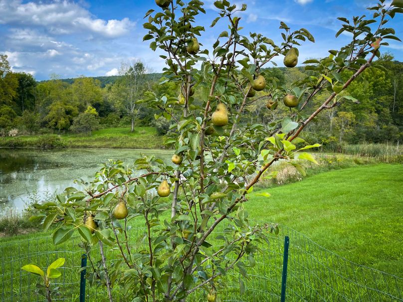 Schuyler_89.13_Mehta_Photos_108