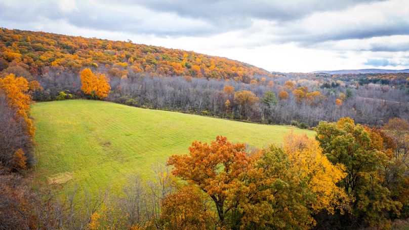 Schuyler_89.13_Mehta_Photos_124