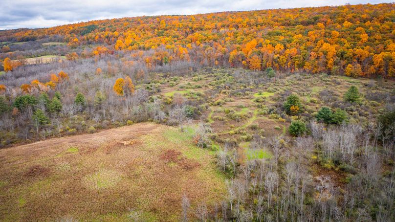 Schuyler_89.13_Mehta_Photos_50