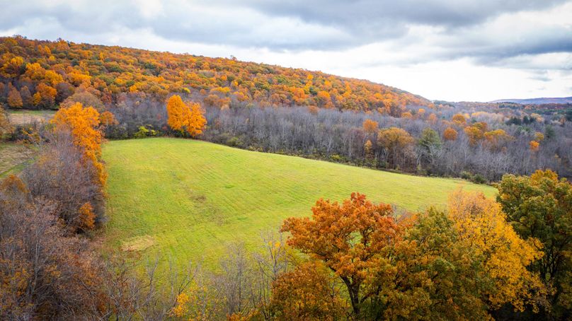 Schuyler_89.13_Mehta_Photos_125