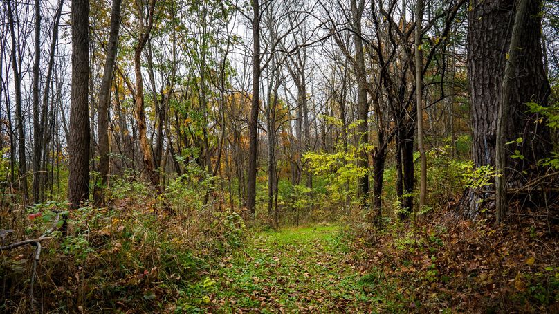 Schuyler_89.13_Mehta_Photos_64