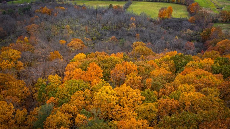 Schuyler_89.13_Mehta_Photos_55