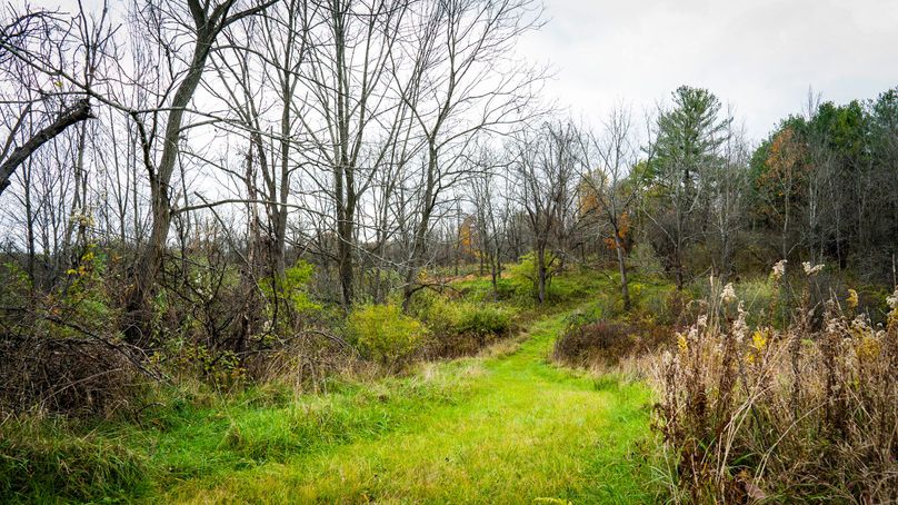 Schuyler_89.13_Mehta_Photos_65