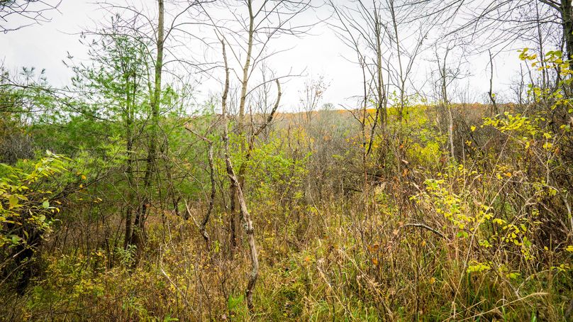 Schuyler_89.13_Mehta_Photos_71