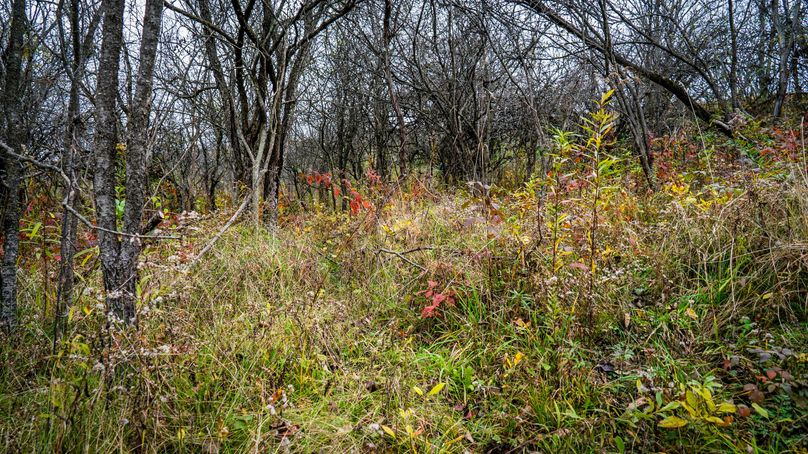 Schuyler_89.13_Mehta_Photos_75