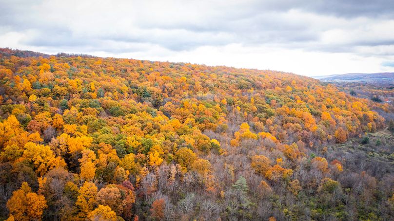 Schuyler_89.13_Mehta_Photos_122