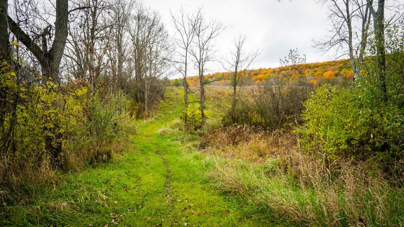 Schuyler_89.13_Mehta_Photos_69