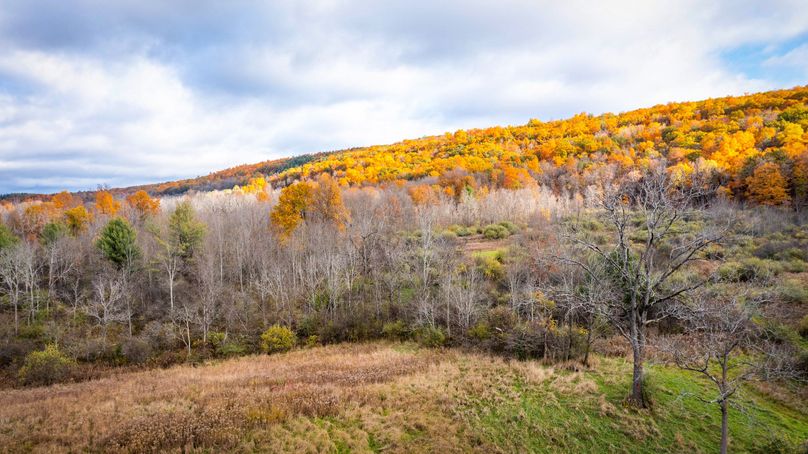 Schuyler_89.13_Mehta_Photos_134