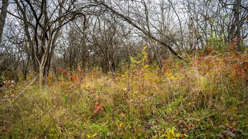 Schuyler_89.13_Mehta_Photos_74