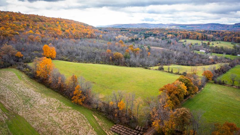 Schuyler_89.13_Mehta_Photos_127