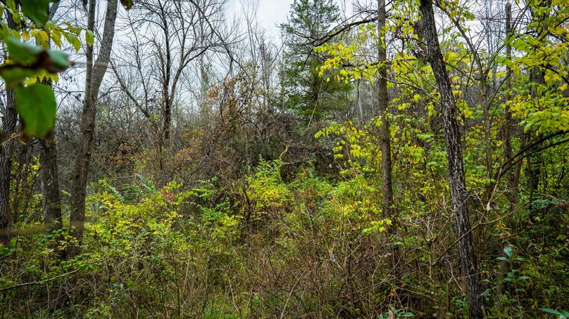 Schuyler_89.13_Mehta_Photos_59