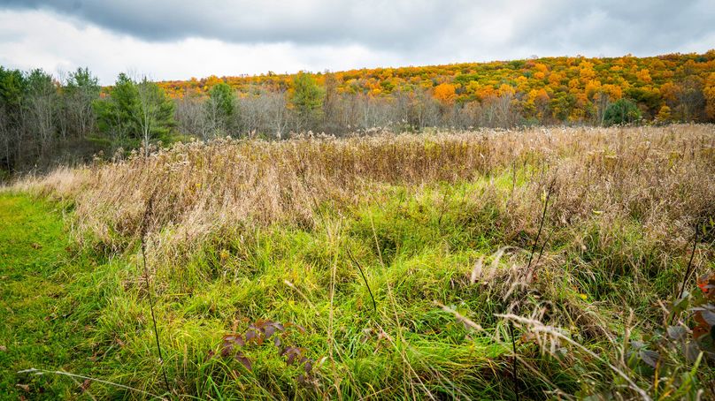 Schuyler_89.13_Mehta_Photos_56