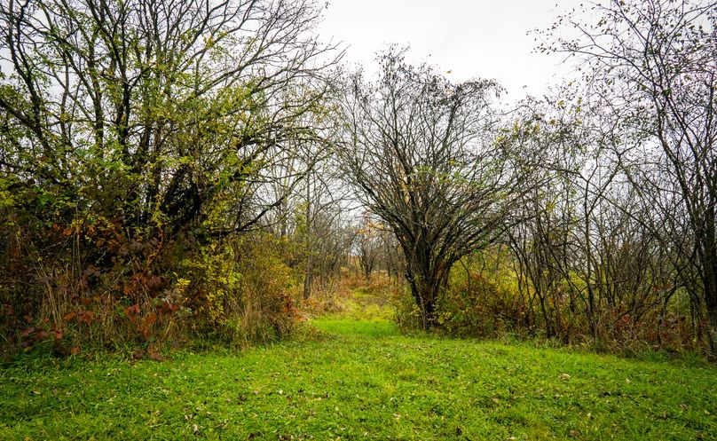 Schuyler_89.13_Mehta_Photos_76