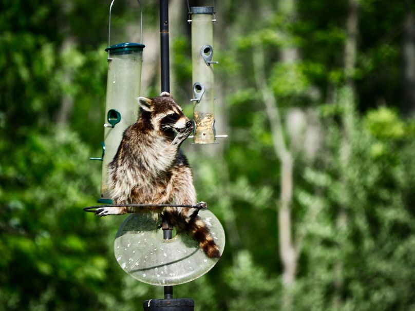 Schuyler_89.13_Mehta_Photos_94