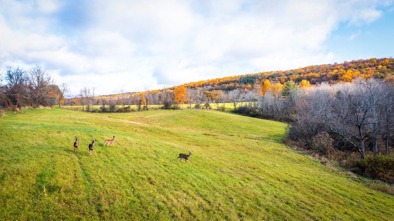 Schuyler_89.13_Mehta_Photos_150