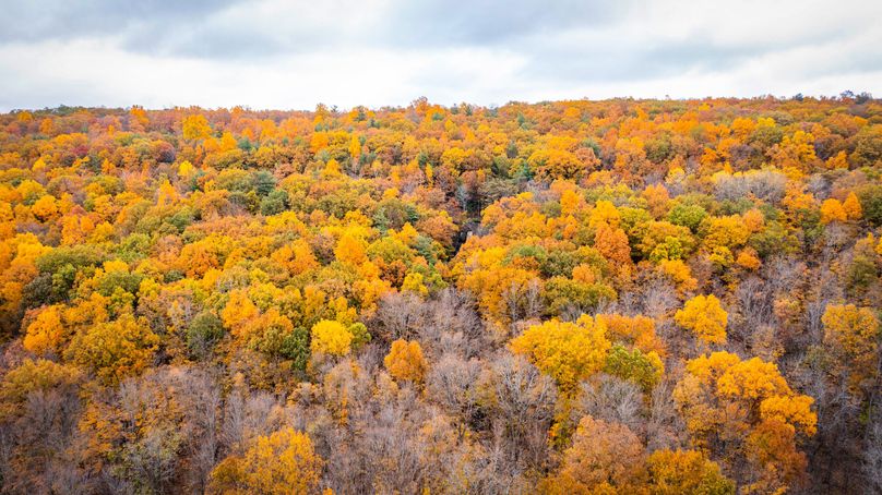 Schuyler_89.13_Mehta_Photos_129