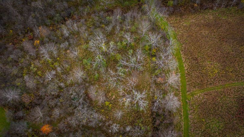 Schuyler_89.13_Mehta_Photos_130