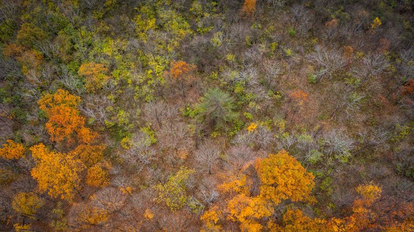 Schuyler_89.13_Mehta_Photos_53