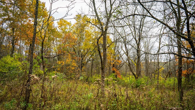 Schuyler_89.13_Mehta_Photos_58