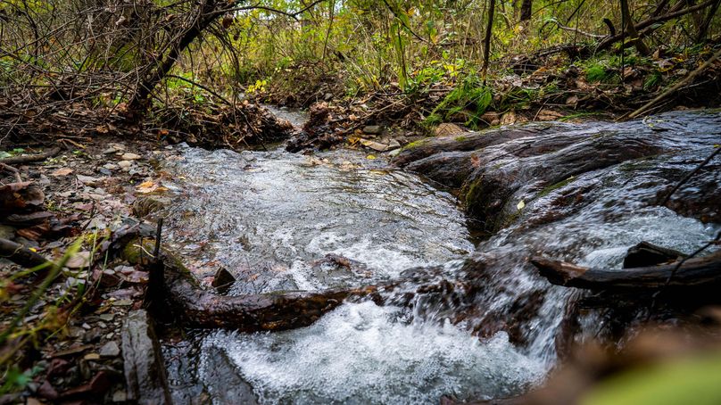 Schuyler_89.13_Mehta_Photos_40