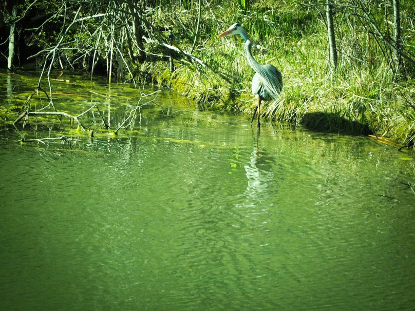 Schuyler_89.13_Mehta_Photos_92