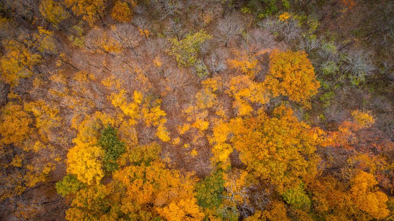 Schuyler_89.13_Mehta_Photos_54