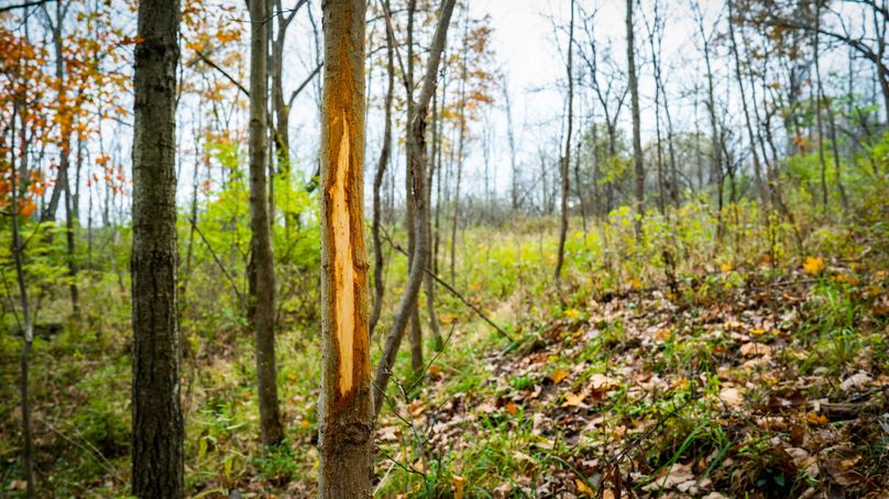 Schuyler_89.13_Mehta_Photos_60