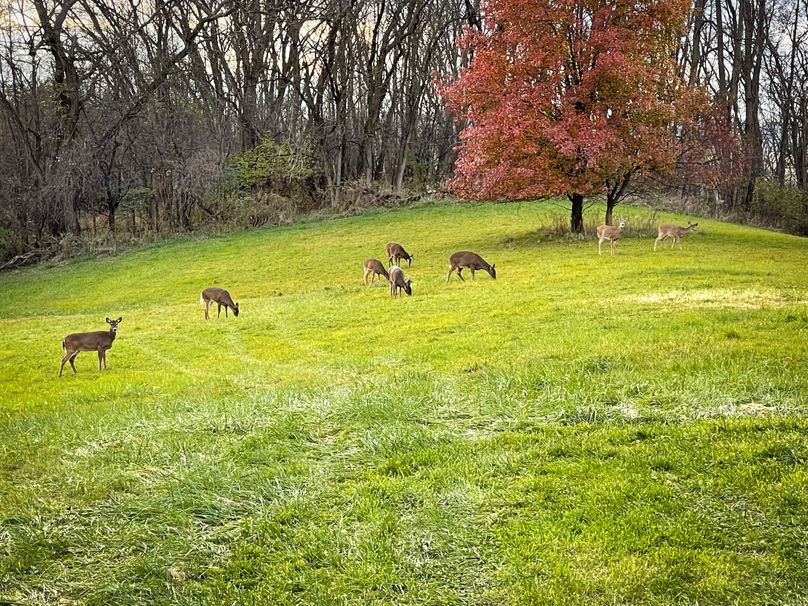 Schuyler_89.13_Mehta_Photos_112