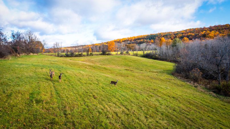 Schuyler_89.13_Mehta_Photos_151