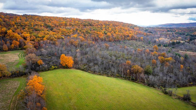 Schuyler_89.13_Mehta_Photos_123