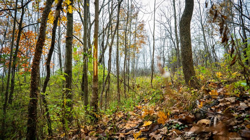 Schuyler_89.13_Mehta_Photos_61