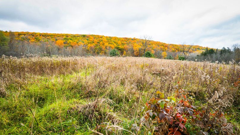 Schuyler_89.13_Mehta_Photos_57