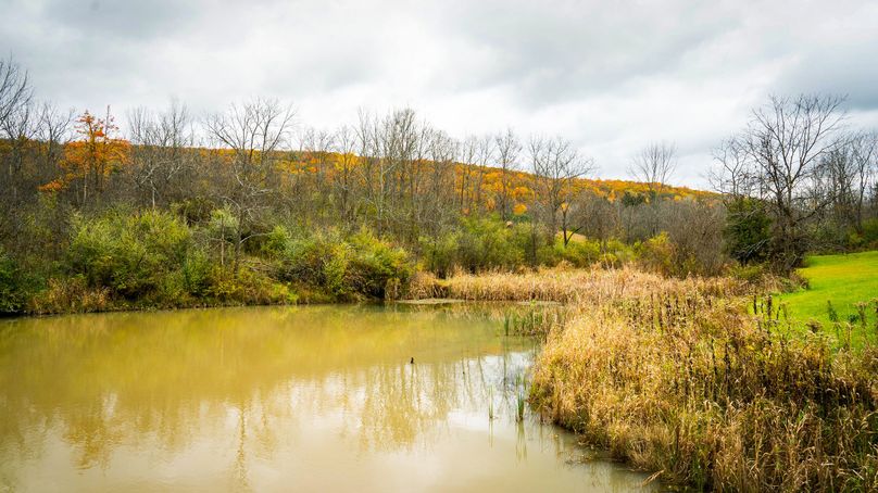 Schuyler_89.13_Mehta_Photos_81