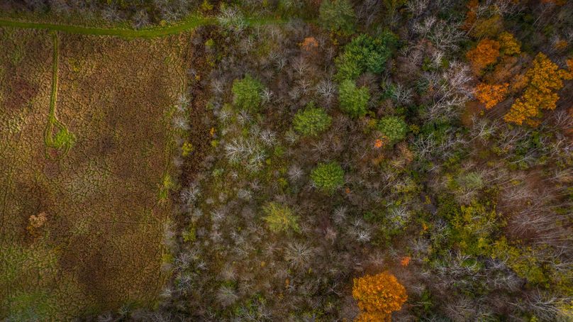 Schuyler_89.13_Mehta_Photos_133