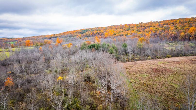 Schuyler_89.13_Mehta_Photos_131