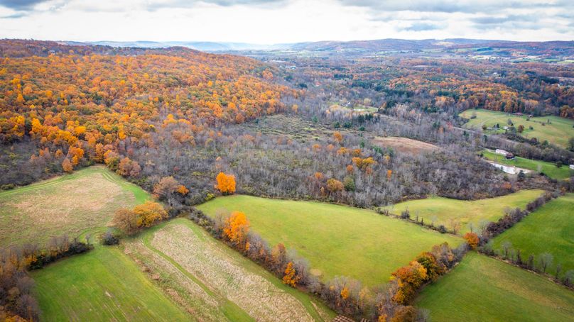 Schuyler_89.13_Mehta_Photos_39