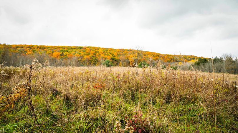 Schuyler_89.13_Mehta_Photos_68