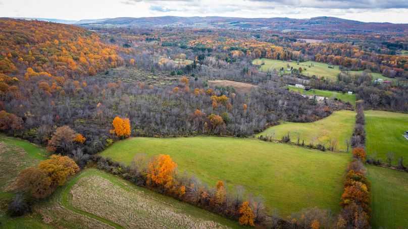 Schuyler_89.13_Mehta_Photos_38