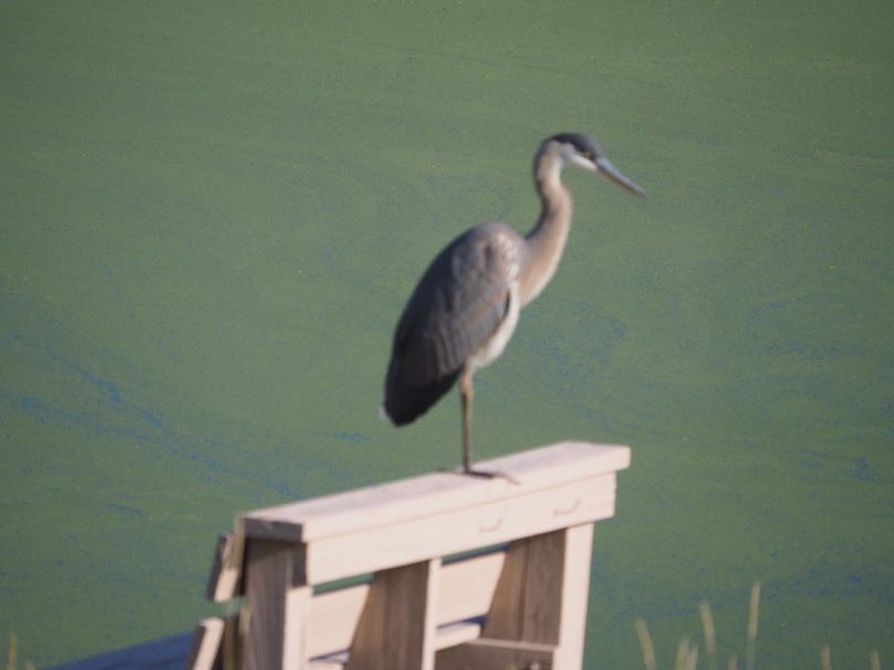 Schuyler_89.13_Mehta_Photos_47