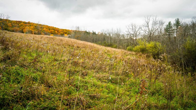 Schuyler_89.13_Mehta_Photos_42