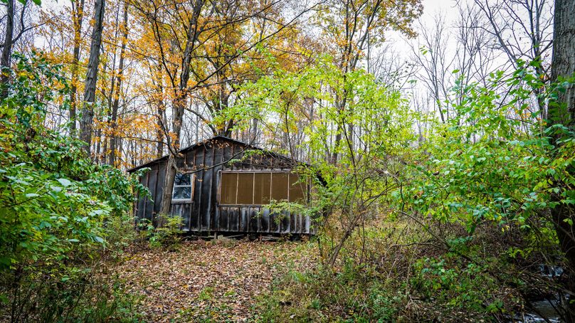 Schuyler_89.13_Mehta_Photos_41