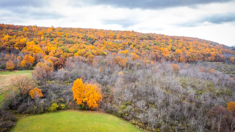 Schuyler_89.13_Mehta_Photos_128