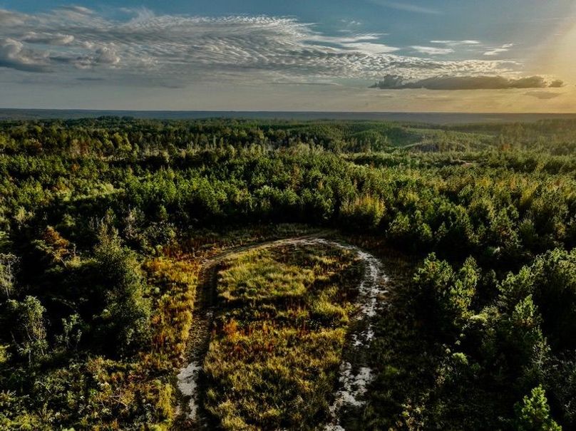 3C5E089C-683C-44D8-8CE9-B53800E163F3_1_105_c